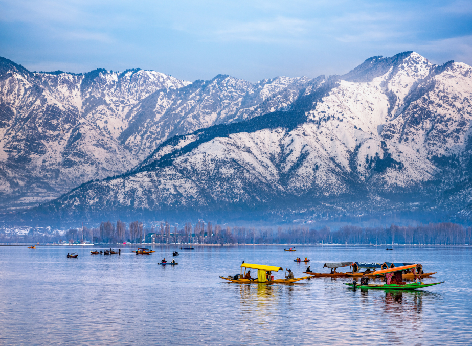 Dal Lake ( Kashmir)