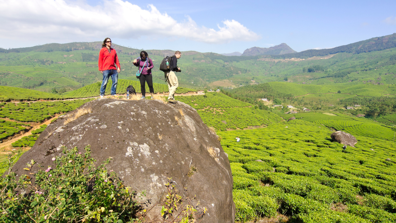 Scenic Mountain Drive from Cochin to Munnar | Blue Holidays
