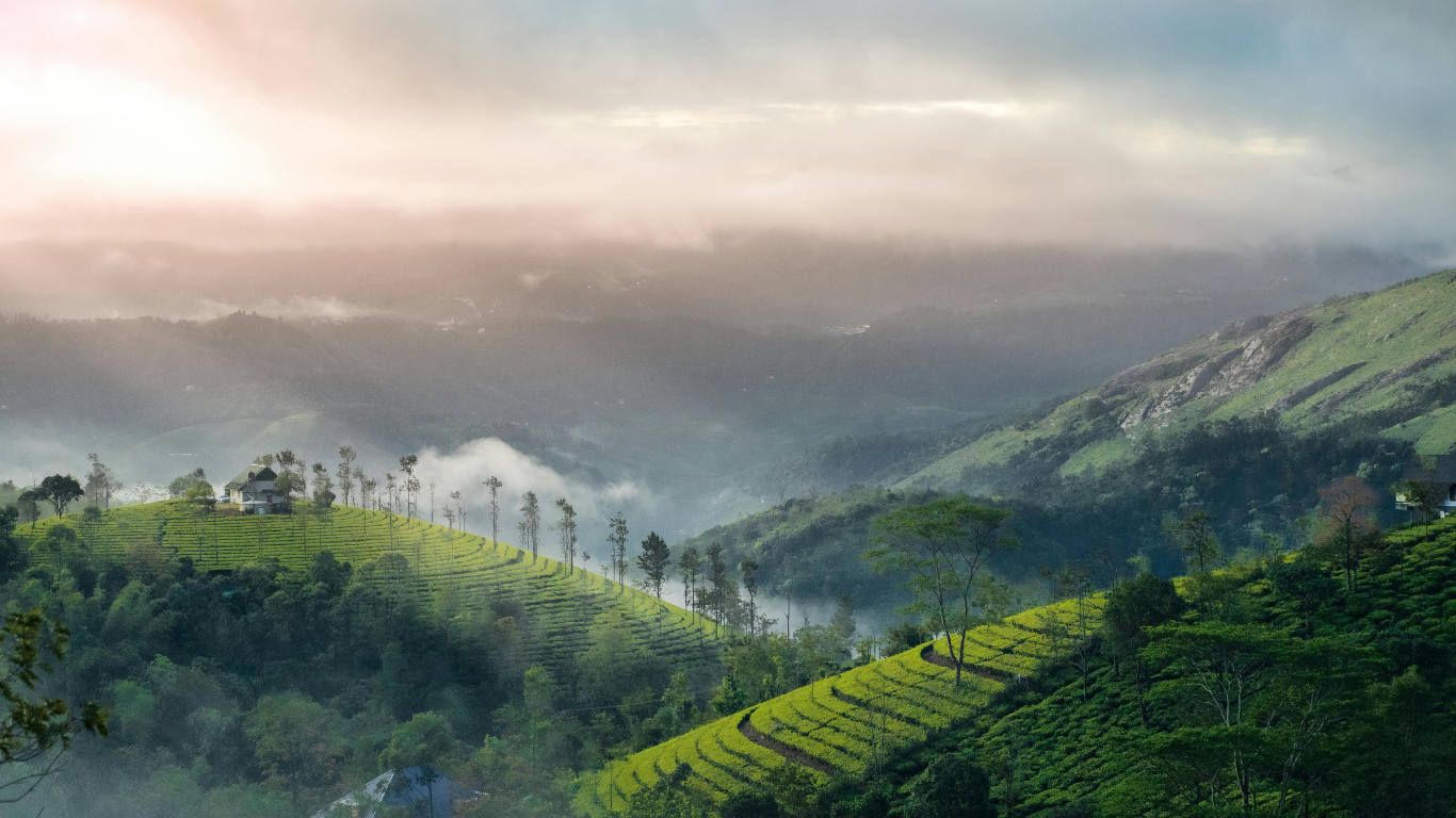 Kerala Premium Escape