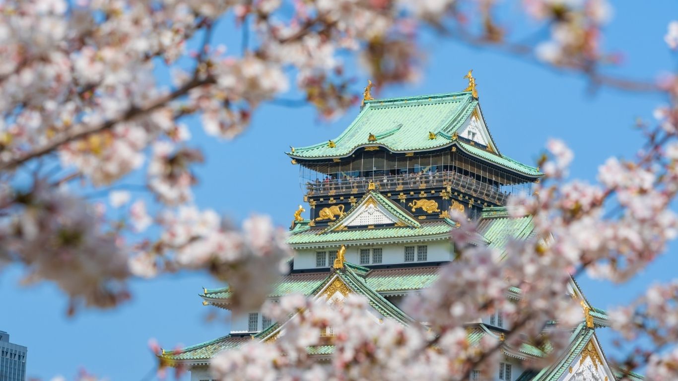 Osaka Castle Blossoms