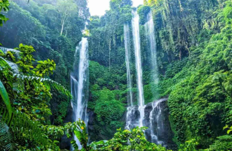 The Exotic Wonders