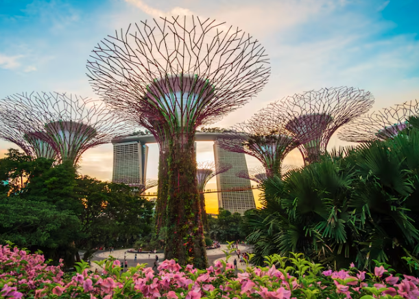 popular tour packages blogs