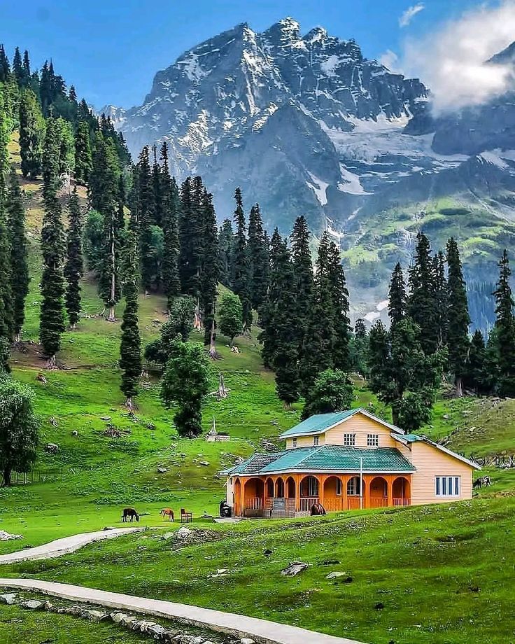 Sonmarg Travel Guide