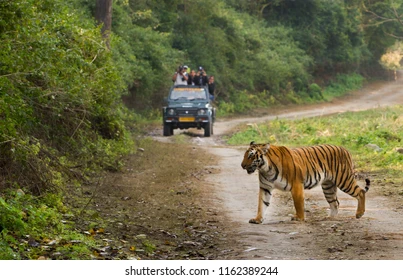 Jim Corbett