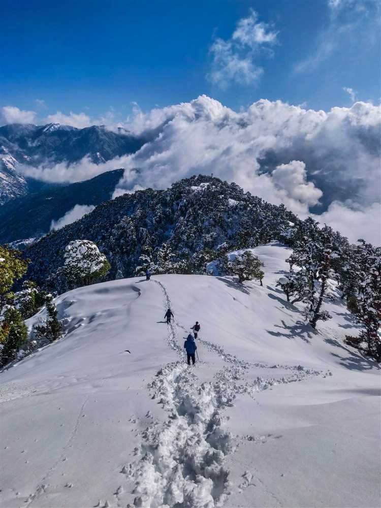 Shimla