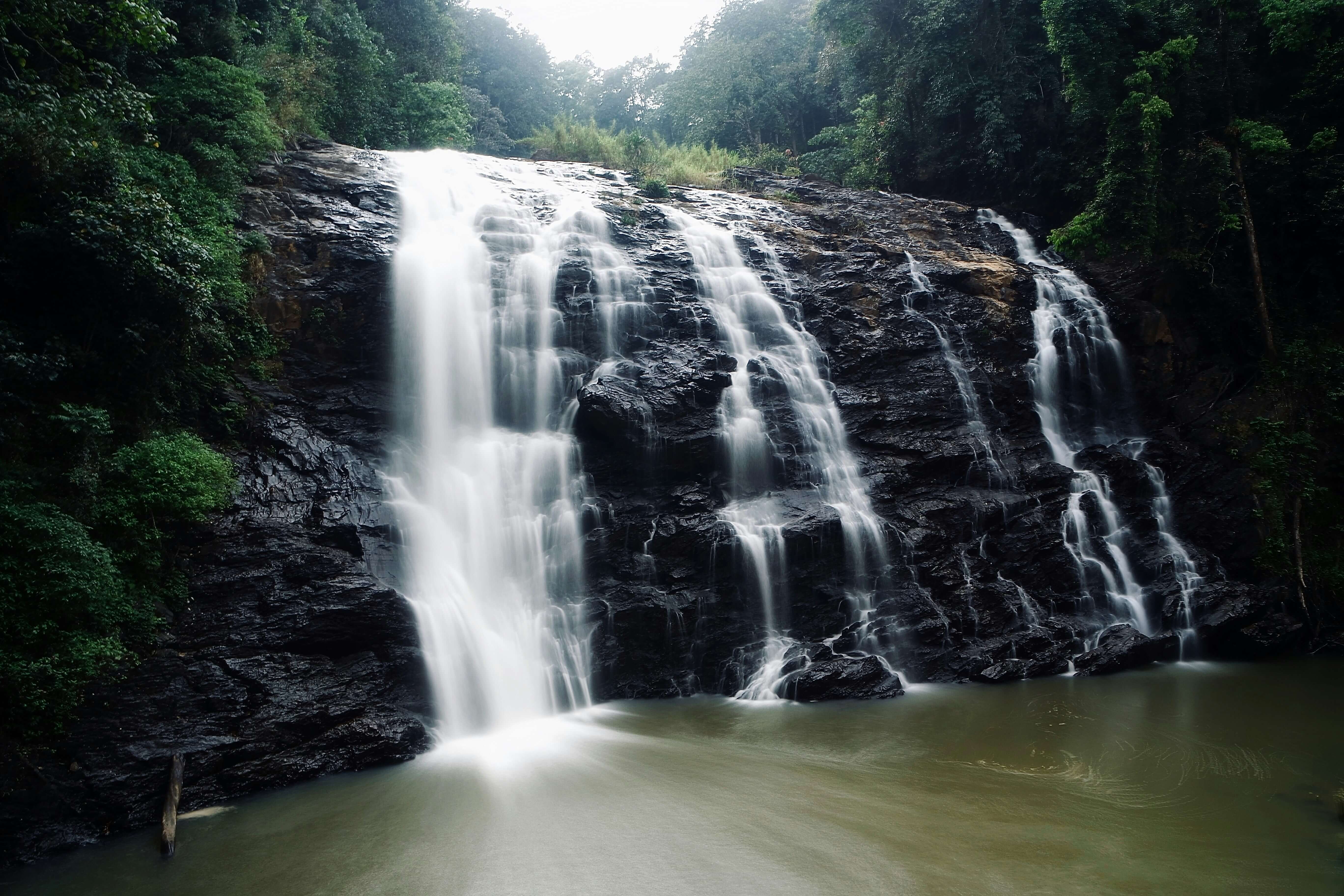 Coorg