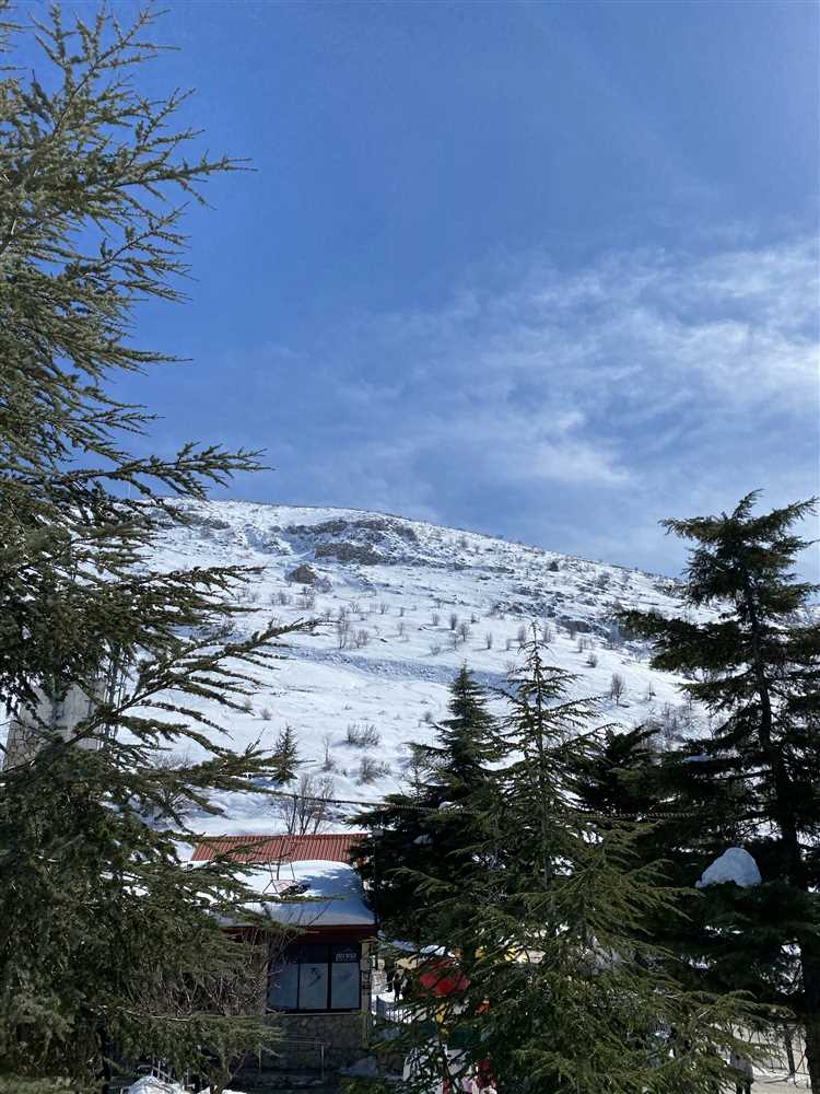 Snowy peaks in Manali