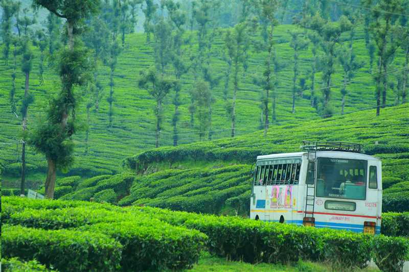 kerala-travel-banner