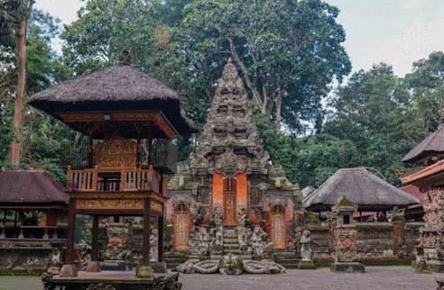 Popular tour and travel activities