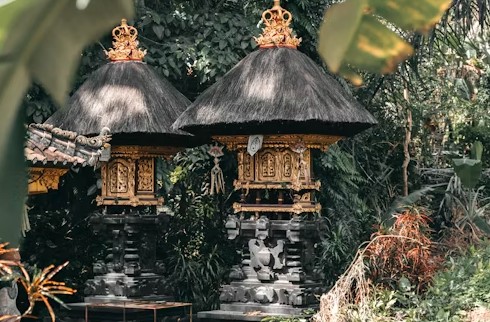 Popular tour and travel activities