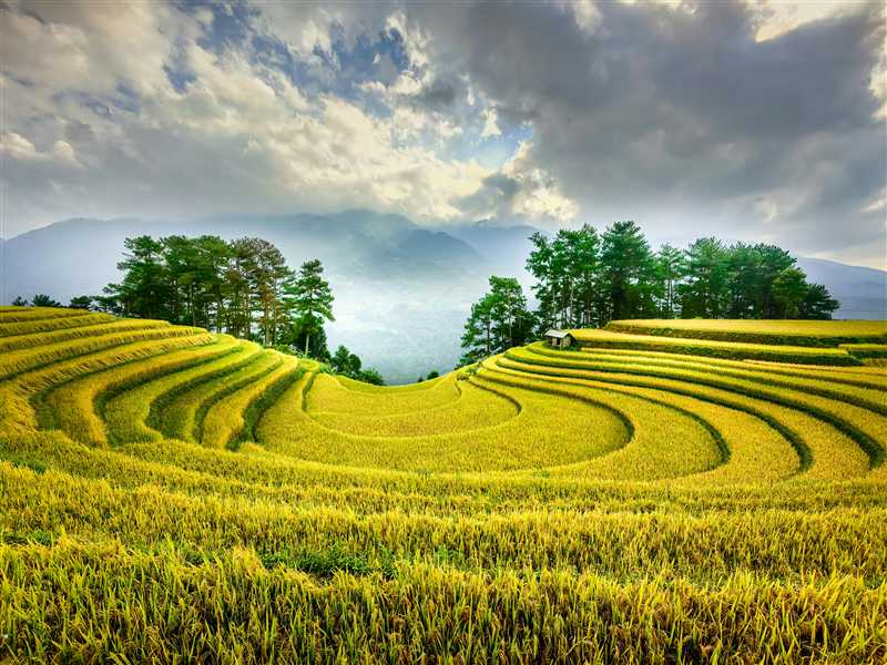 beautiful view of Vietnam