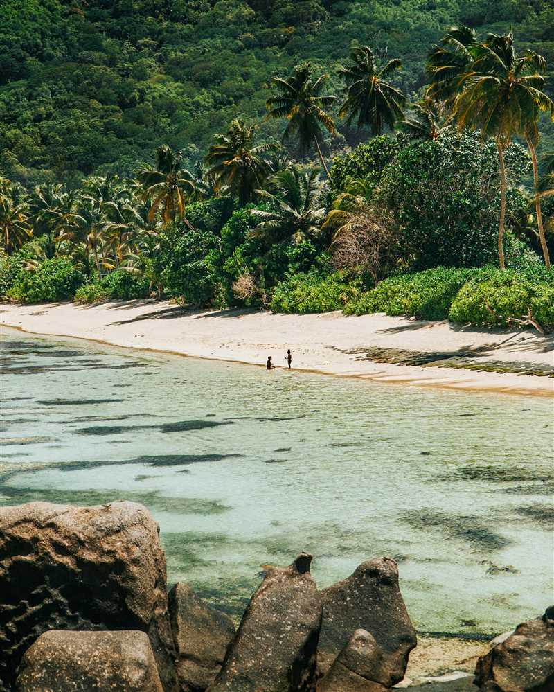 Crystal clear water and palm trees in Seychelles"