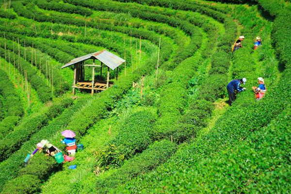 Popular tour and travel blogs