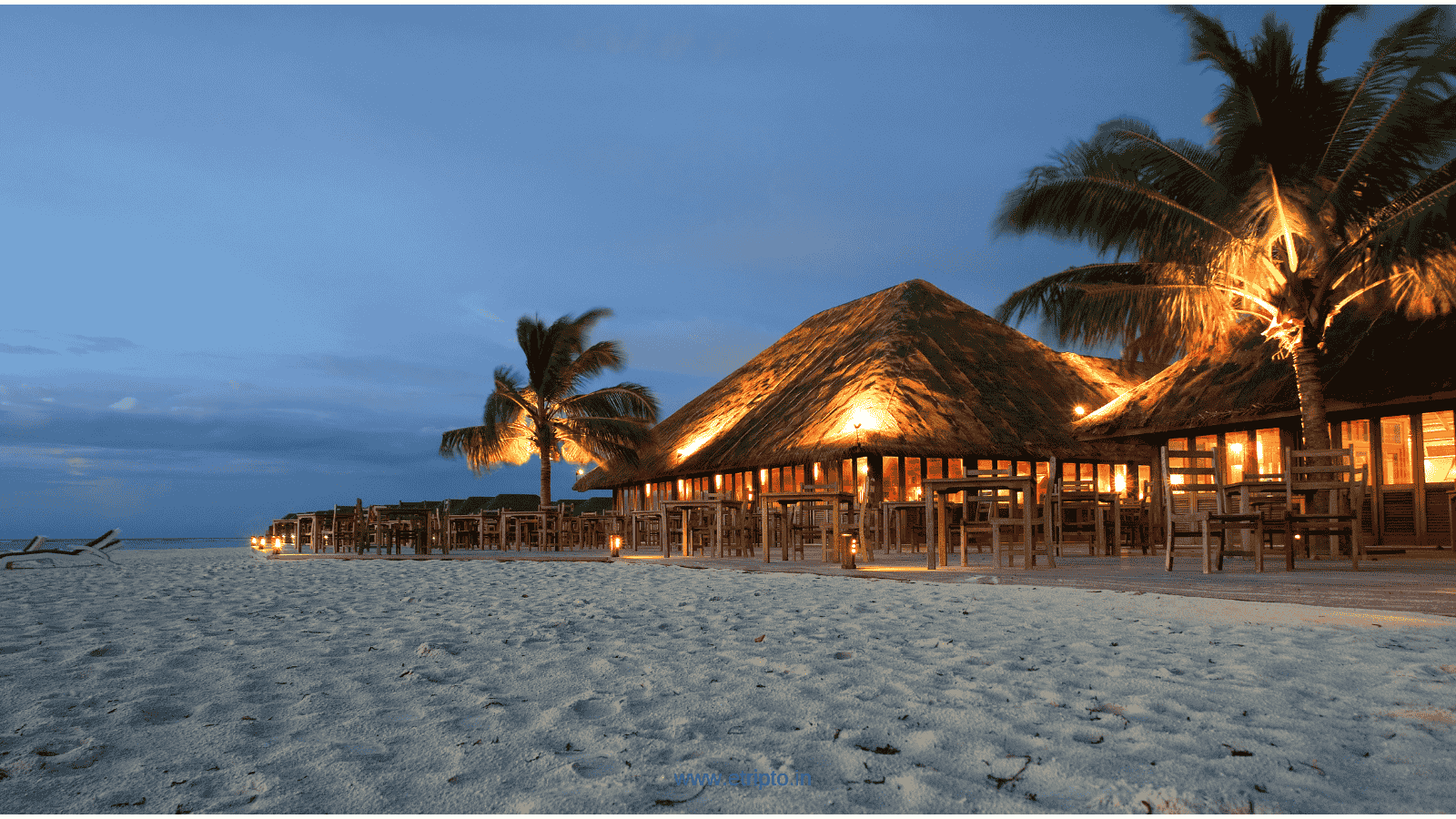 Popular tour and travels blogs