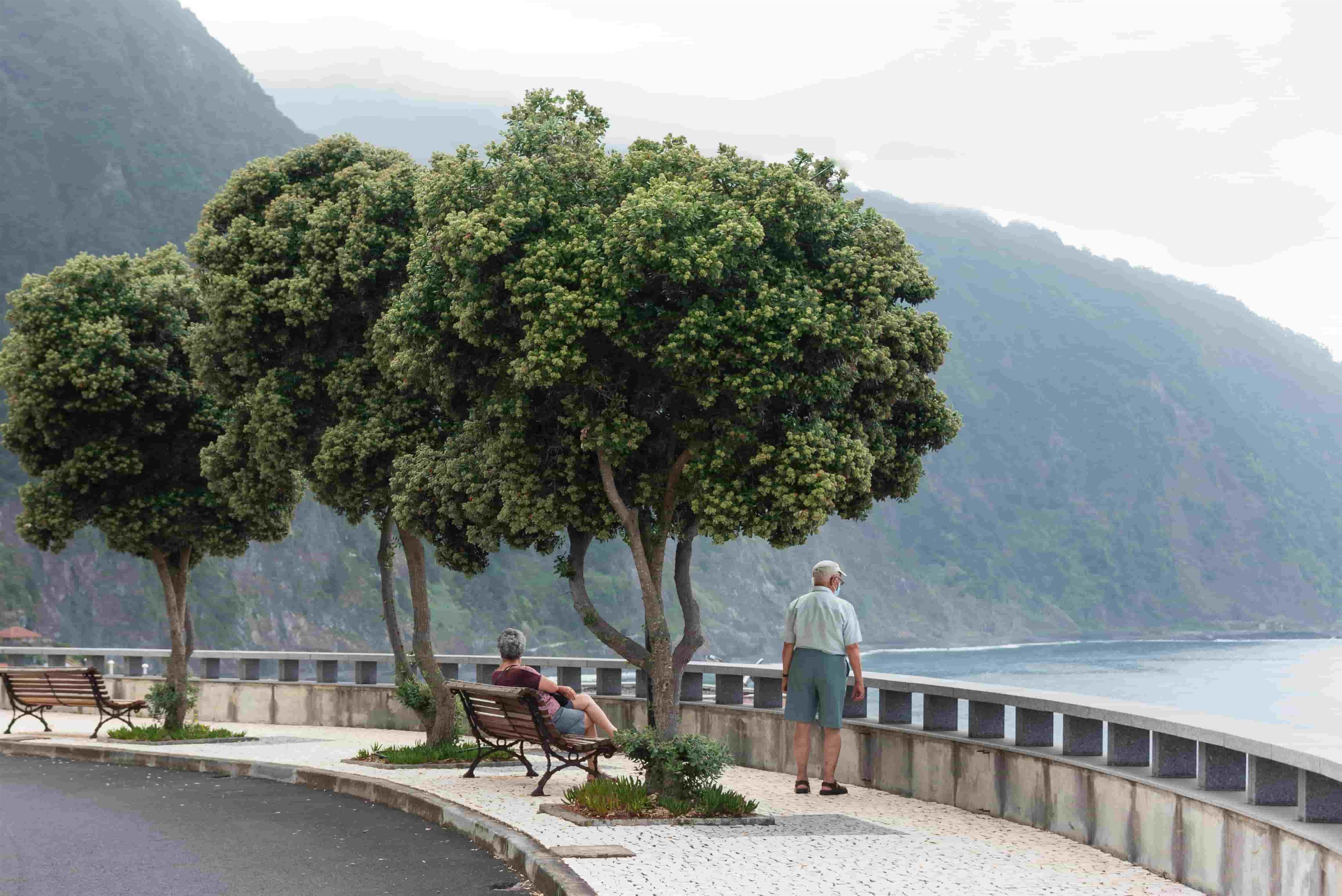Top Group Tours Packages for Senior Citizens in India