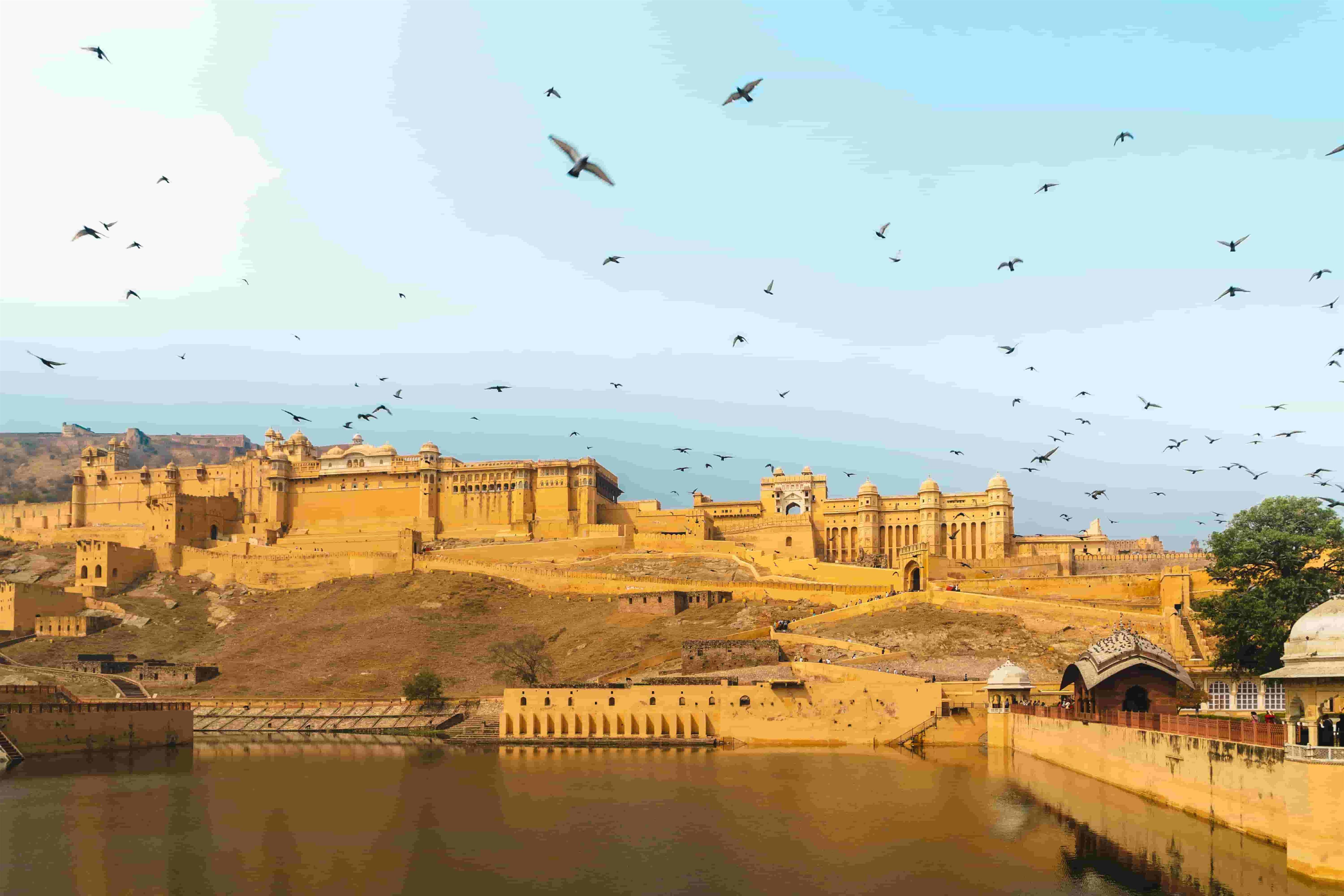 rajasthan desert safari packages with camel ride and camp stay