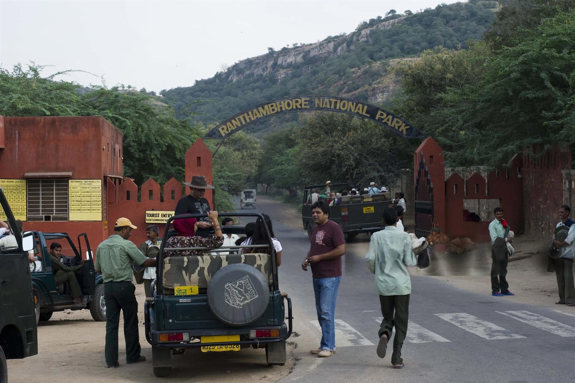 Rajasthan Wildlife Safari Packages from Ranthambore and Sariska