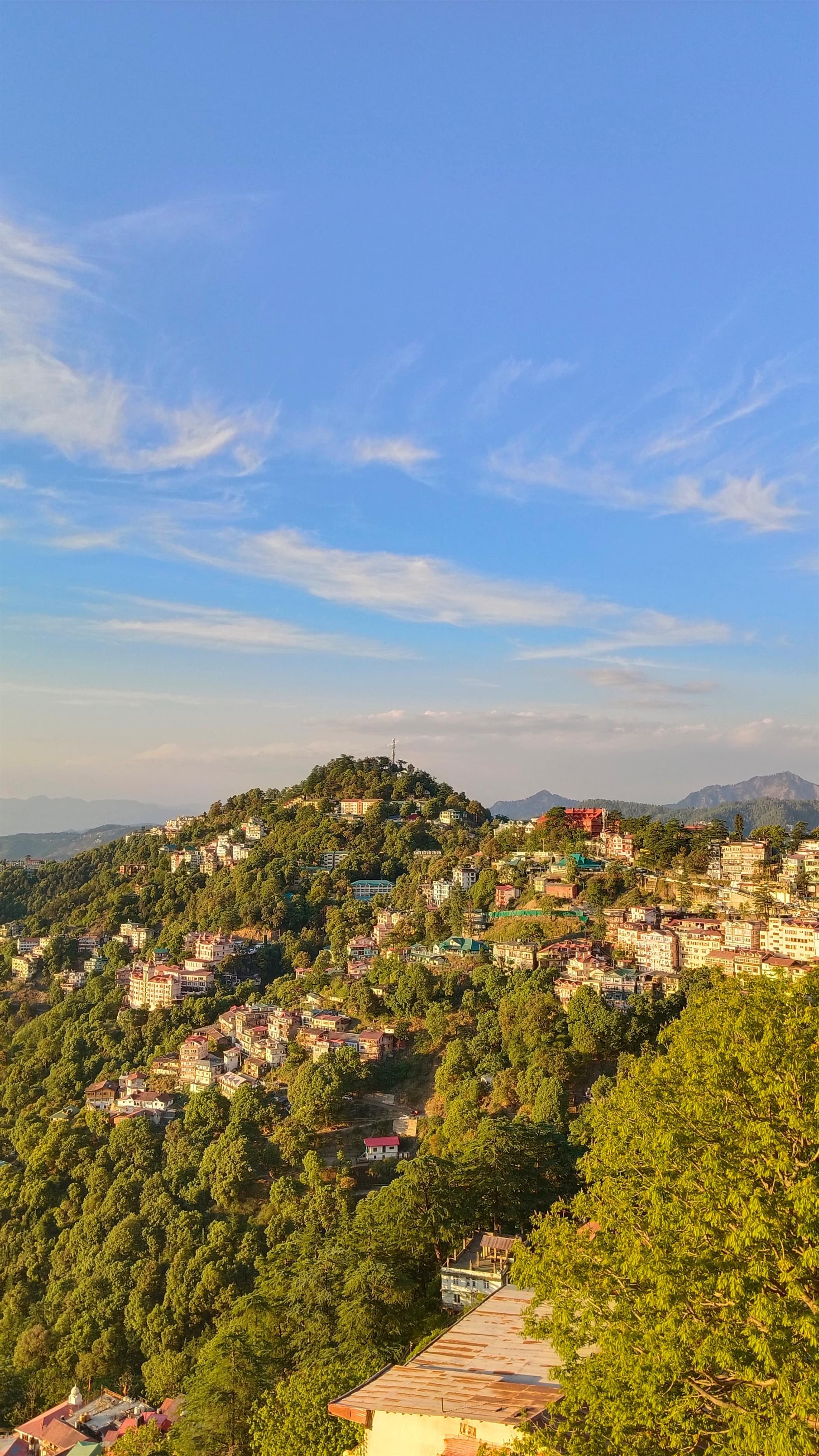 Shimla
