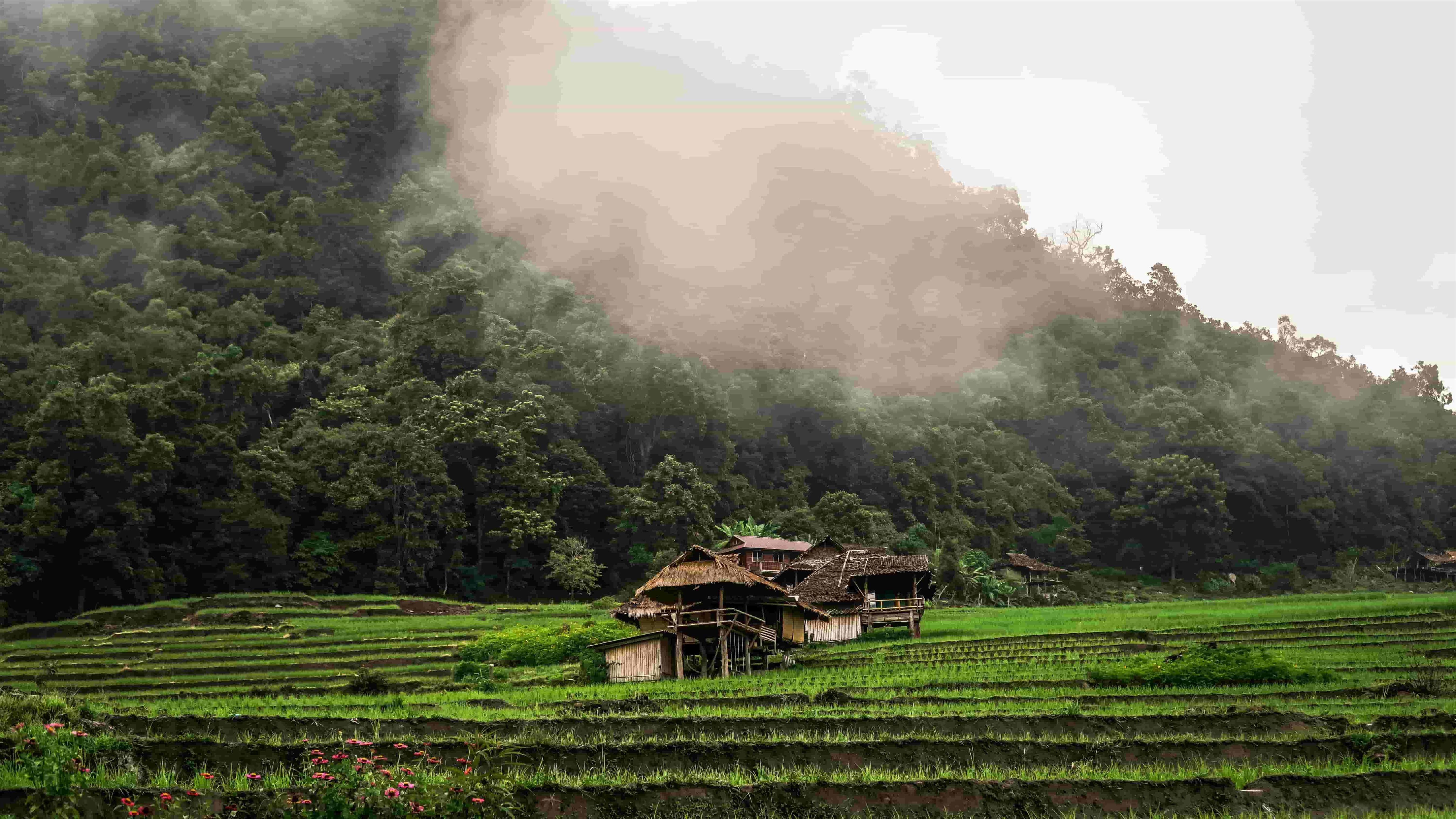 local village tours near Chiang Mai for food lovers