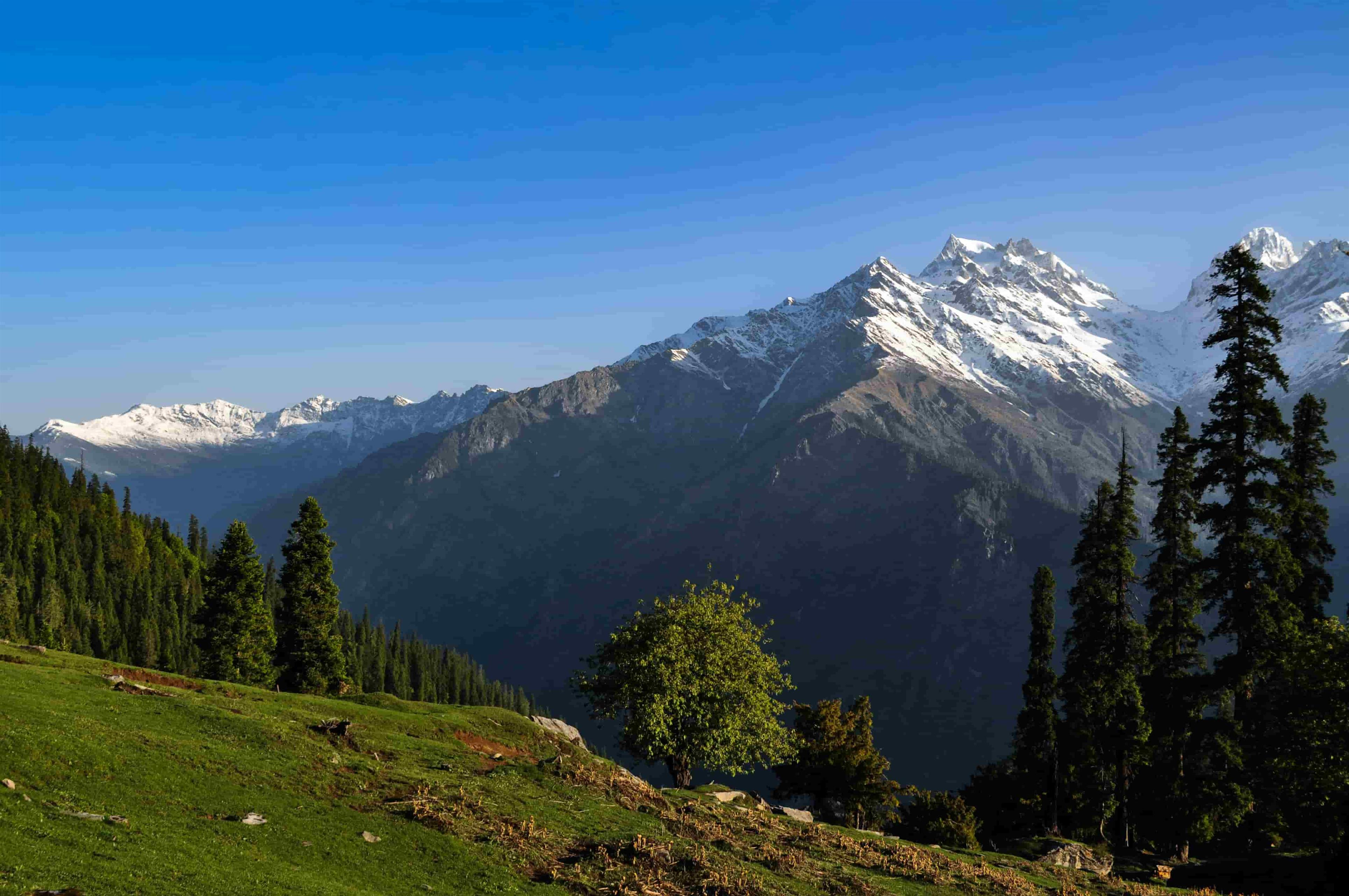 Holiday tour packages for Himalayas