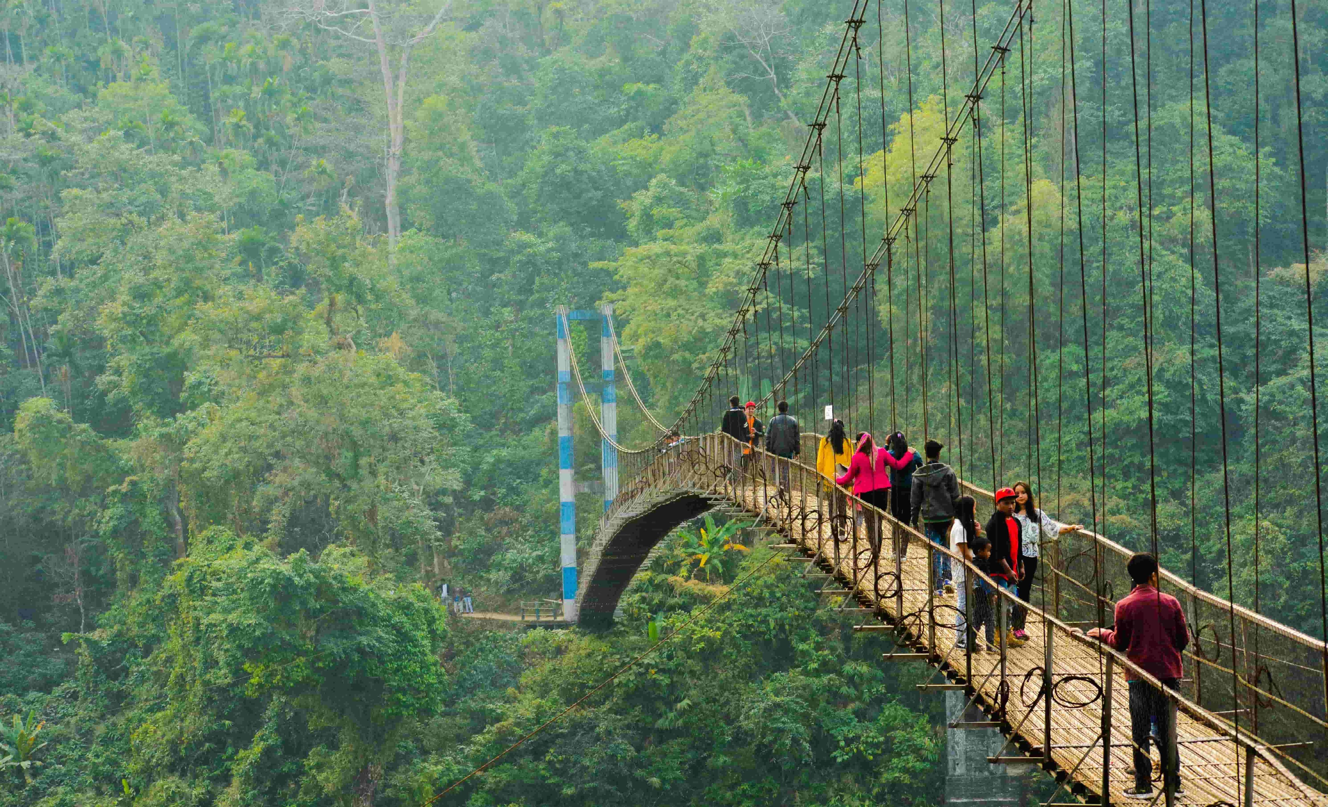 Living Root Bridges Trek in Meghalaya