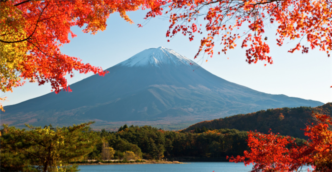 Stunning view of Mt. Fuji, Japan's iconic peak, framed by cherry blossoms in spring, showcasing its majestic beauty against a clear blue sky.