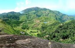 Vagamon