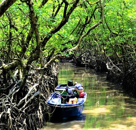 Barthang island